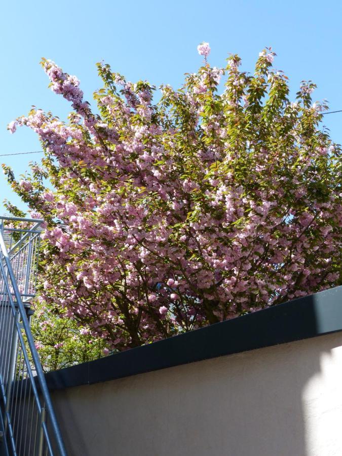 Anduns Exklusive Scheune Boppard Exterior foto